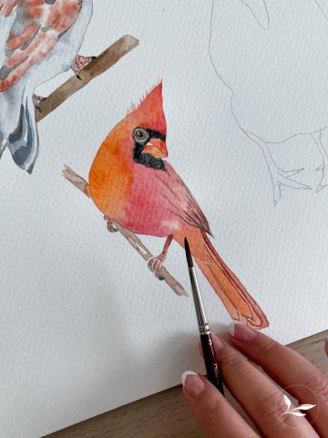 A hand holding a brush painting a watercolor cardinal