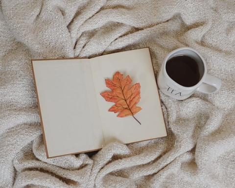 An open book with a leaf inside it with a cup of tea next to it