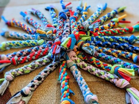 Pet Toys for West Suburban Humane Society