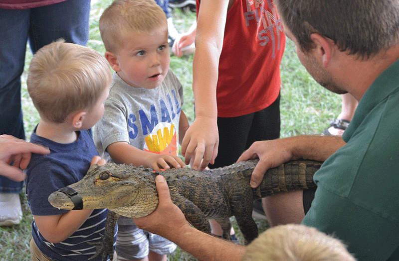 Children petting an alligator