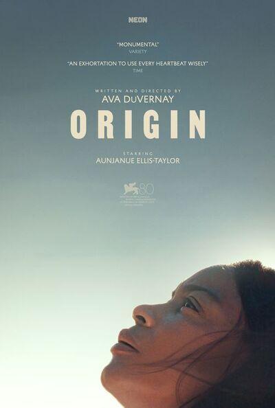 Origin film poster, a Black woman pictured in profile, looking up at the sky from the lower righthand corner of the poster